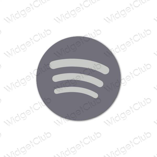 Estética Spotify iconos de aplicaciones