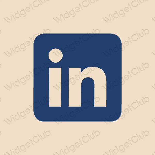 ესთეტიკური Linkedin აპლიკაციის ხატები