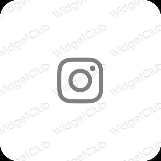 Esthetische Instagram app-pictogrammen