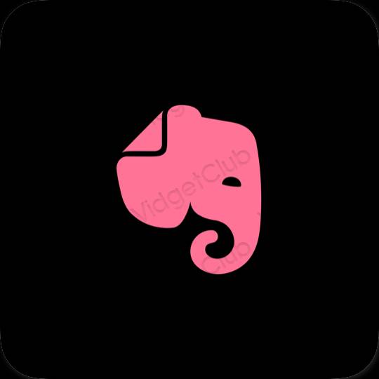 Естетске Evernote иконе апликација