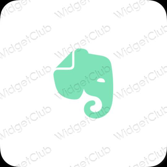 美學Evernote 應用程序圖標