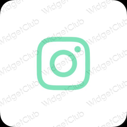 Естетични Instagram икони на приложения