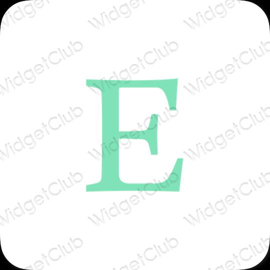 Esthetische Etsy app-pictogrammen