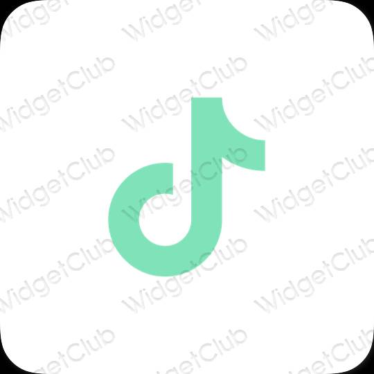 រូបតំណាងកម្មវិធី TikTok សោភ័ណភាព