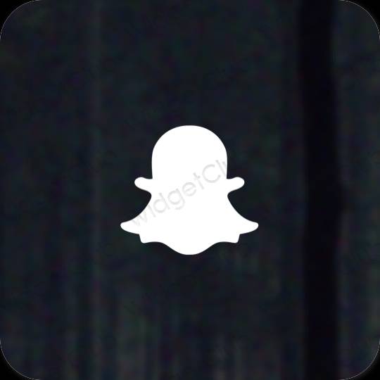 Ästhetische snapchat App-Symbole