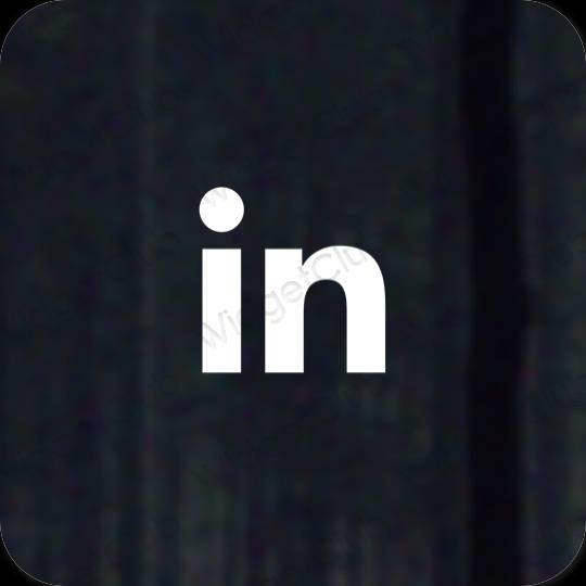 Aesthetic Linkedin app icons