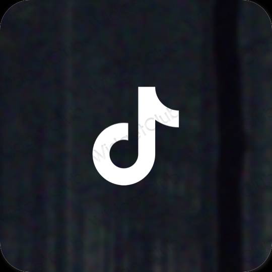 Estética TikTok iconos de aplicaciones