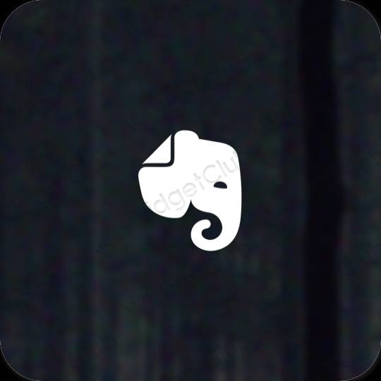 Aesthetic Evernote app icons