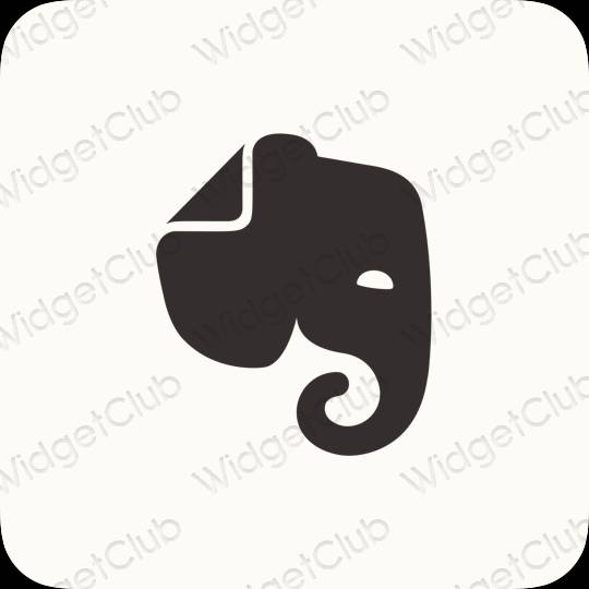 Ikon apl Evernote Estetik