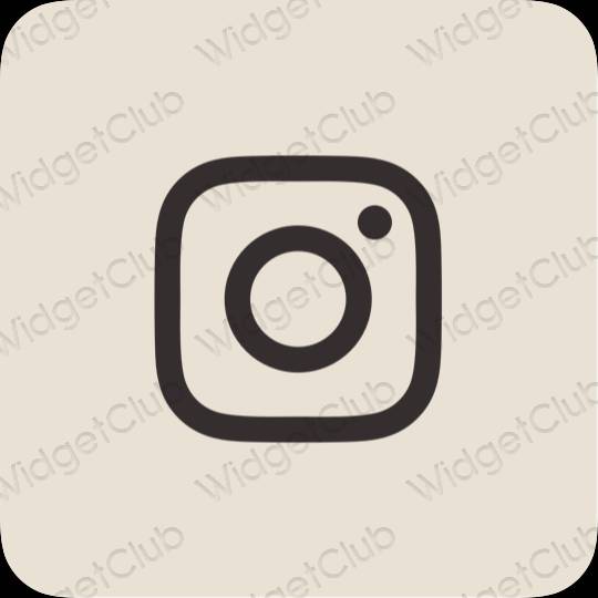 ესთეტიკური Instagram აპლიკაციის ხატები