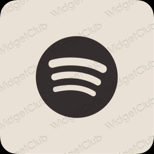 ესთეტიკური Spotify აპლიკაციის ხატები