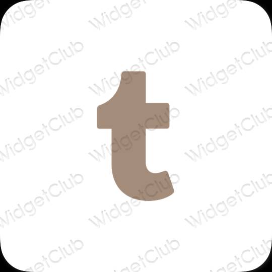 រូបតំណាងកម្មវិធី Tumblr សោភ័ណភាព