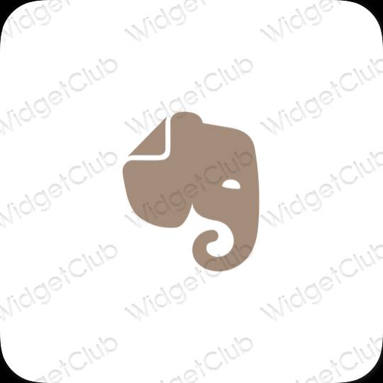 Estetické ikony aplikací Evernote
