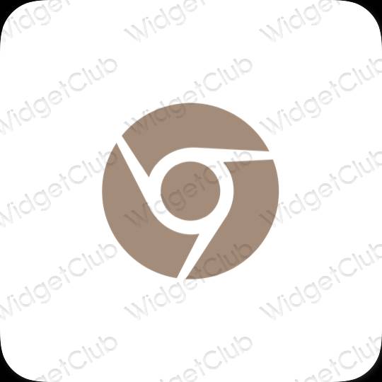 نمادهای برنامه زیباشناسی Chrome