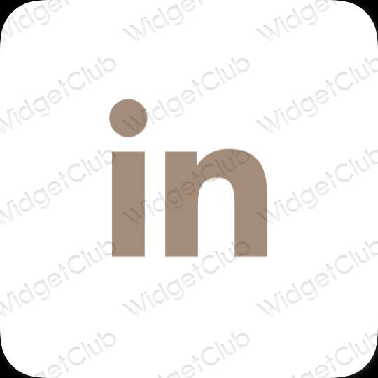 美学Linkedin 应用程序图标