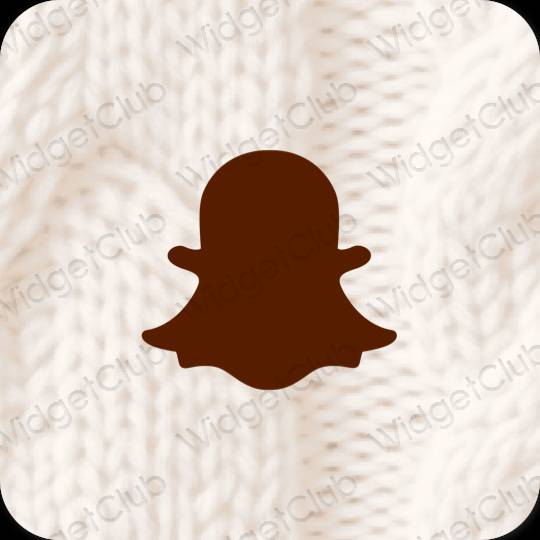 Aesthetic snapchat app icons