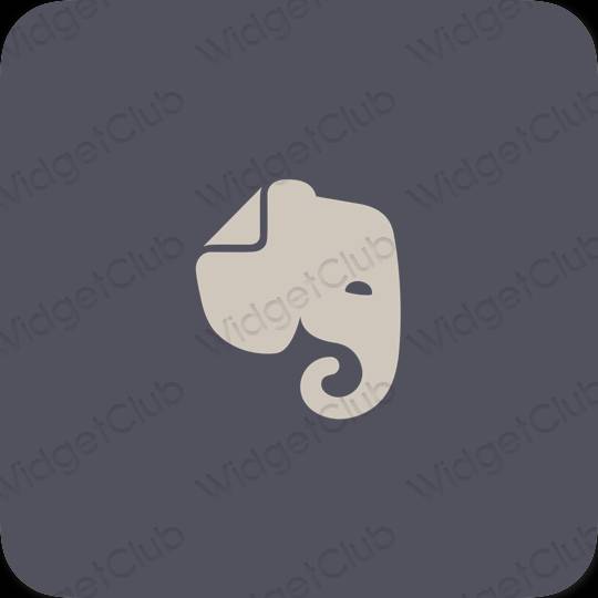 រូបតំណាងកម្មវិធី Evernote សោភ័ណភាព