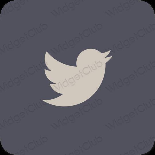 美學Twitter 應用程序圖標
