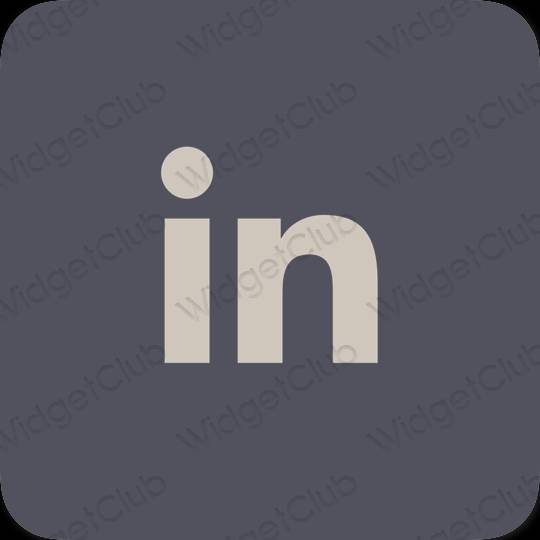 Ikon apl Linkedin Estetik