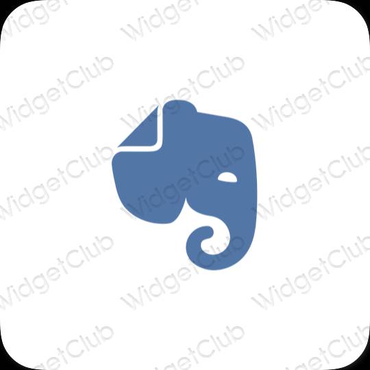 Ikon apl Evernote Estetik