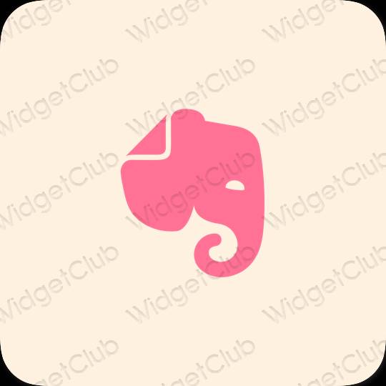 Estetické ikony aplikací Evernote