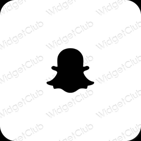 Aesthetic snapchat app icons