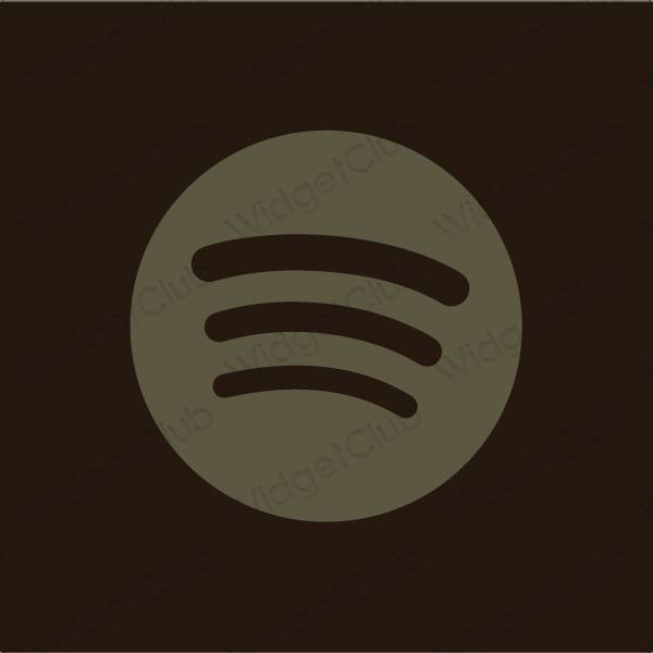 ესთეტიკური Spotify აპლიკაციის ხატები