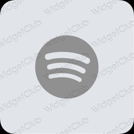 ไอคอนแอพ Aesthetic Spotify