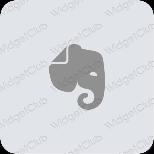 រូបតំណាងកម្មវិធី Evernote សោភ័ណភាព