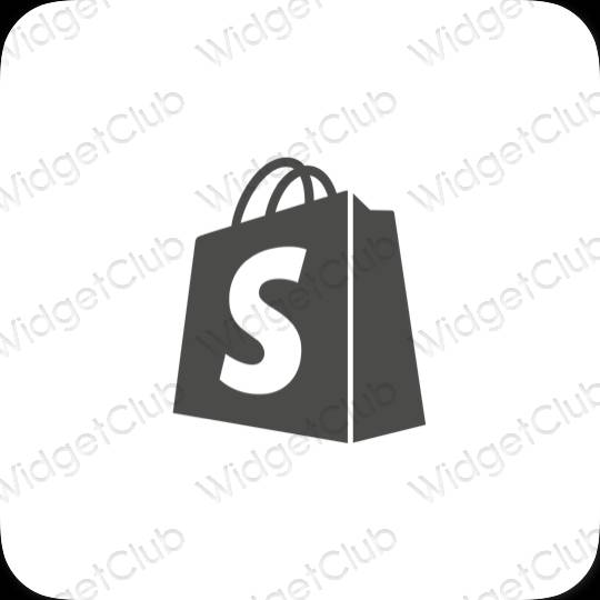 Pictograme pentru aplicații Shopify estetice