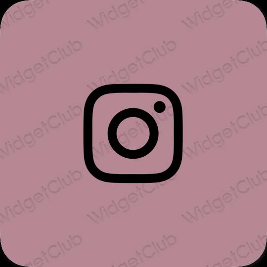 ესთეტიკური Instagram აპლიკაციის ხატები