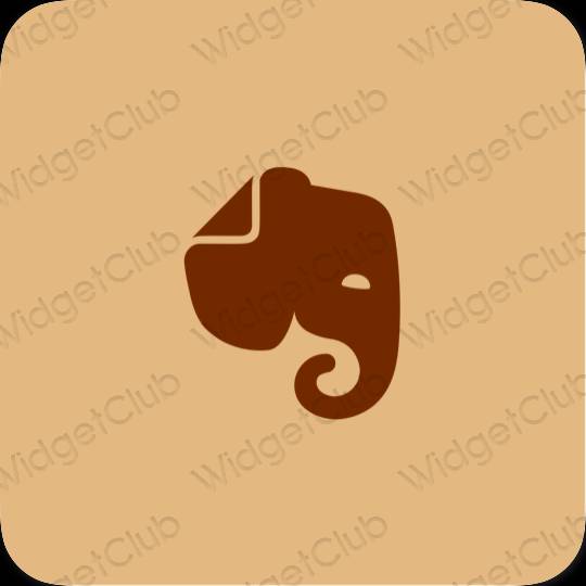 Estetické ikony aplikací Evernote