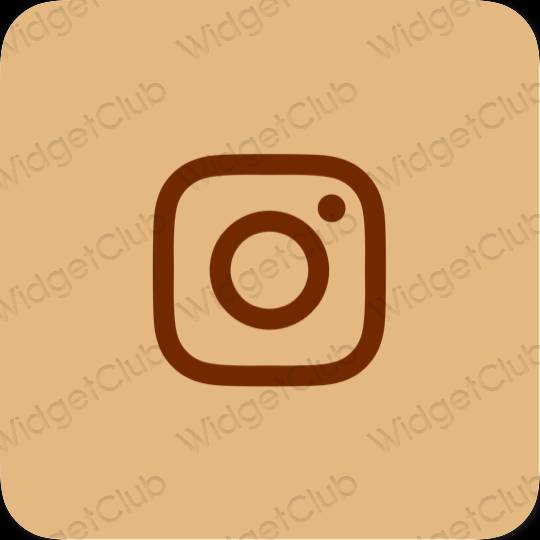 សោភ័ណ ទឹកក្រូច Instagram រូបតំណាងកម្មវិធី