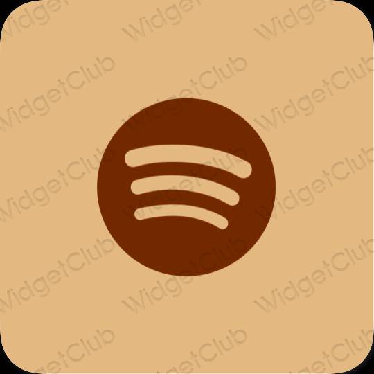 Aesthetic Spotify app icons