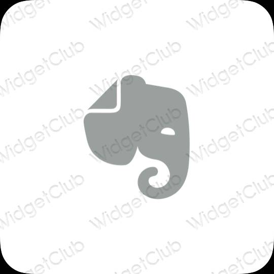 Estetické ikony aplikácií Evernote