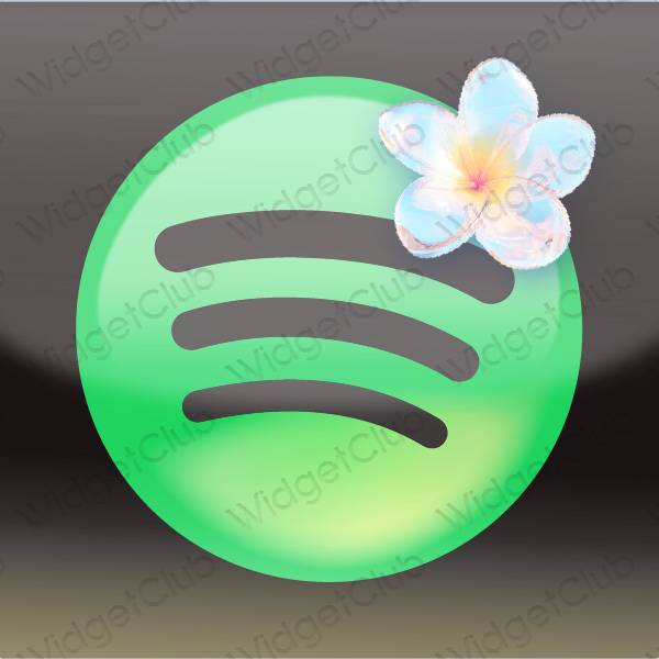 ესთეტიკური Spotify აპლიკაციის ხატები