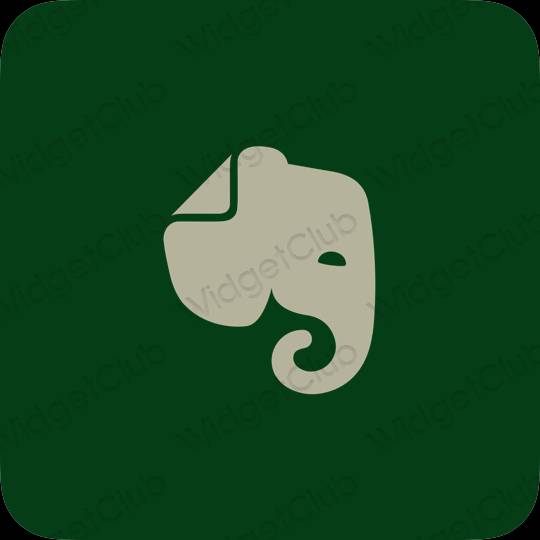 Ikon apl Evernote Estetik