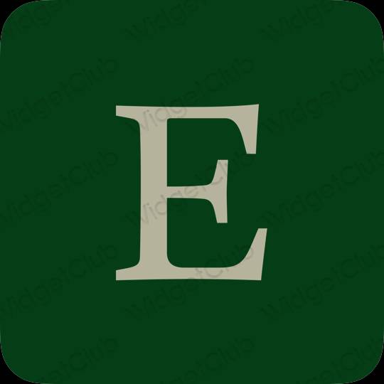 ესთეტიკური Etsy აპლიკაციის ხატები