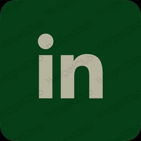 ესთეტიკური Linkedin აპლიკაციის ხატები
