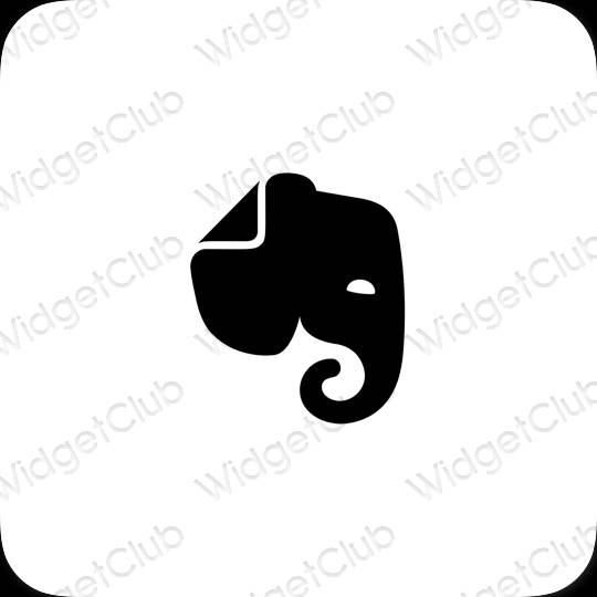 Естетске Evernote иконе апликација