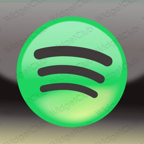ესთეტიკური Spotify აპლიკაციის ხატები