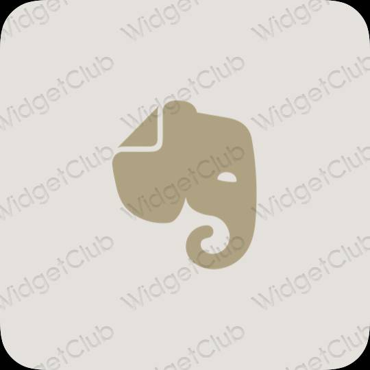 Aesthetic Evernote app icons