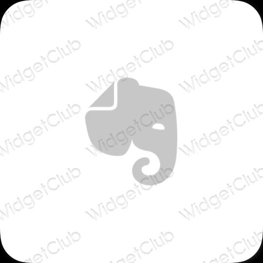 Estetické ikony aplikací Evernote