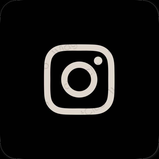 ესთეტიკური Instagram აპლიკაციის ხატები