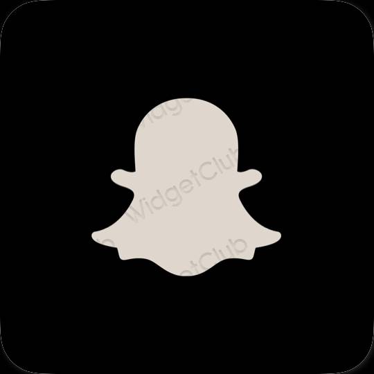 ესთეტიკური snapchat აპლიკაციის ხატები