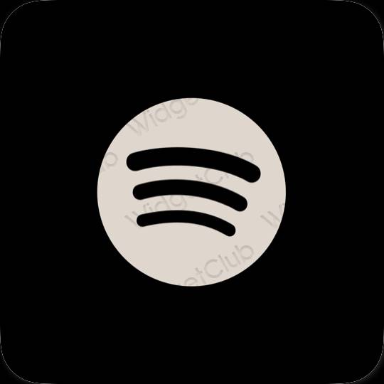ესთეტიკური Spotify აპლიკაციის ხატები