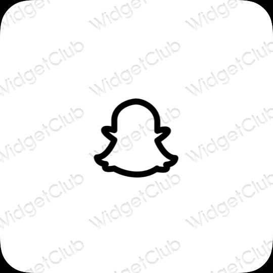 ესთეტიკური snapchat აპლიკაციის ხატები