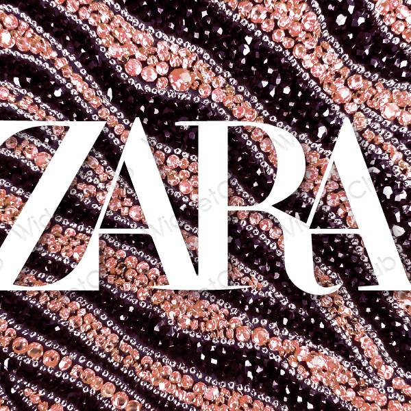 ესთეტიკური ZARA აპლიკაციის ხატები