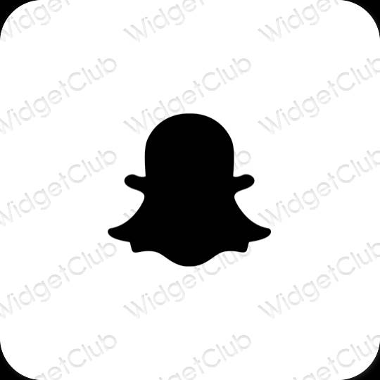 Aesthetic snapchat app icons