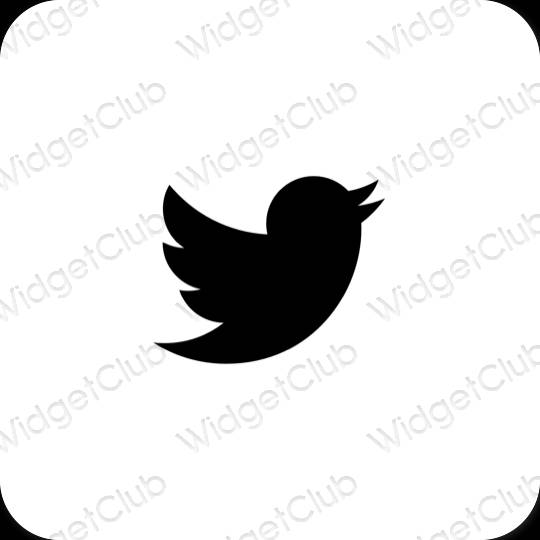 Aesthetic Twitter app icons